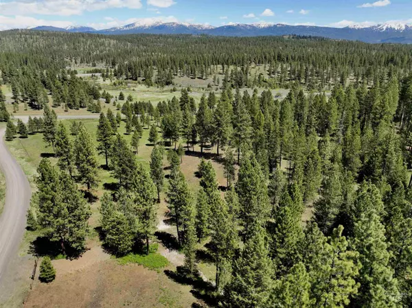 Lot 29 Southpine Drive, New Meadows, ID 83654