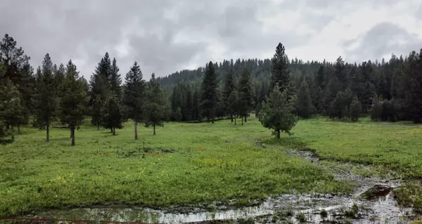 New Meadows, ID 83654,Lot 29 Southpine Drive