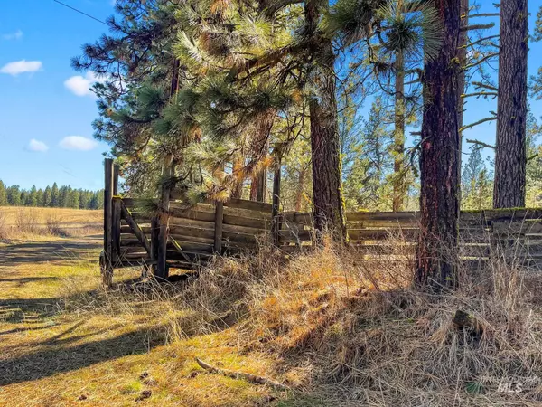 Craigmont, ID 83523,NKA Wallace Rd