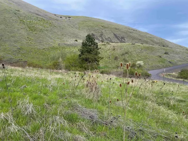 Lenore, ID 83541,TBD Starthistle Lane