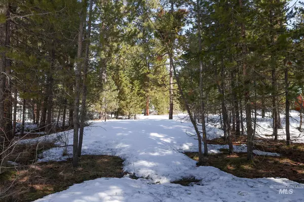 Mccall, ID 83638,1013 Cee Way Loop