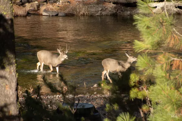Mccall, ID 83638,302 Mather