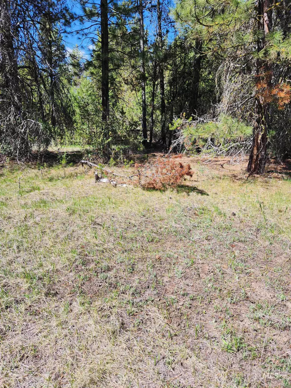 Cascade, ID 83611,Lot 3 Block 1 Riverview Park Sub