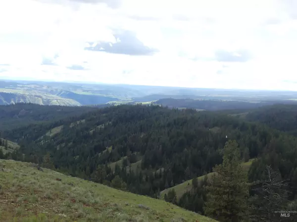 Anatone, WA 99401,001 Hansen Ridge Road