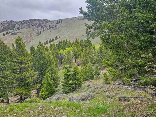 Challis, ID 83226,501/511 Chipmunk Hill