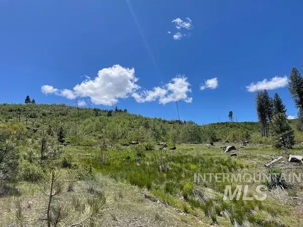 Lot 2 & 3 Lester Creek Road, Pine, ID 83647