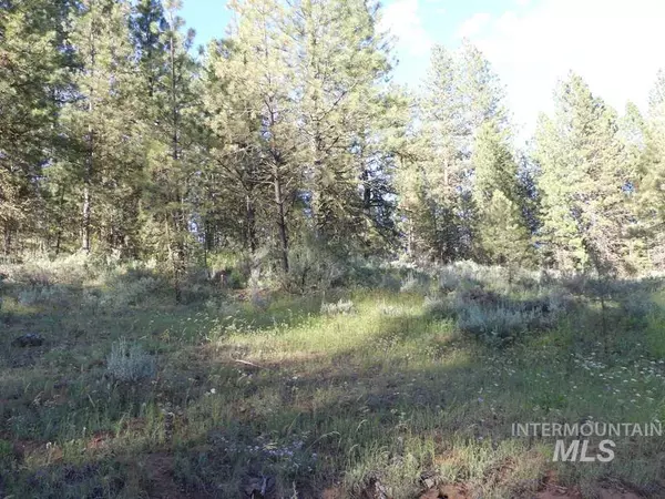 New Meadows, ID 83654,TBD Kimberland Drive