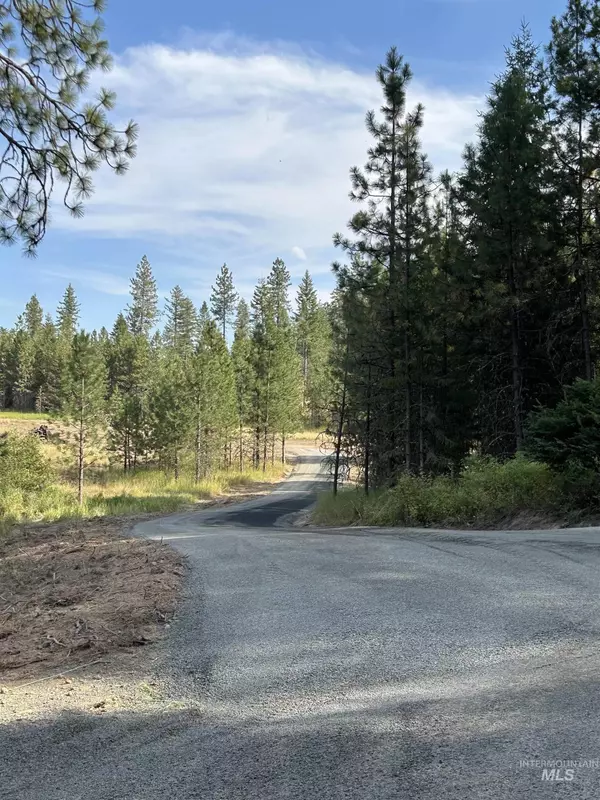 Deary, ID 83823,NKA Big Bear Ridge Rd - Parcel 2