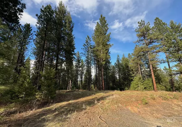 New Meadows, ID 83654,TBD Southpine Drive