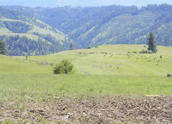 Kooskia, ID 83539,151 151 Ranta Rd