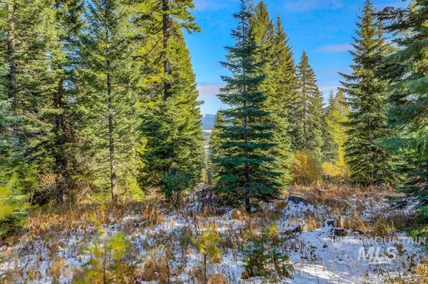 Donnelly, ID 83615,719 Whitewater Drive