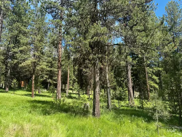 Mccall, ID 83638,11 Vernon Court