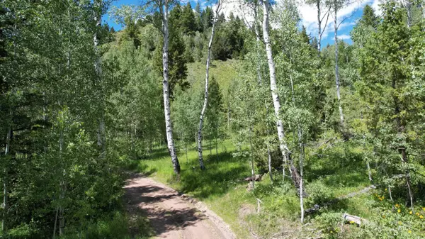 Rockland, ID 83271,TBD Bull Canyon Road
