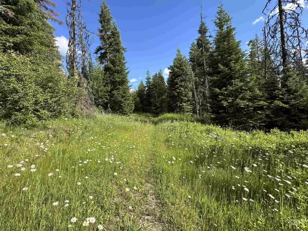 Emida, ID 83861,000 Charlie Ck Rd. (Parcel 3)