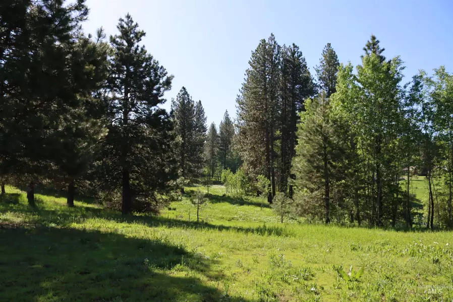 Lot9 Krahn Lane, Mccall, ID 83638