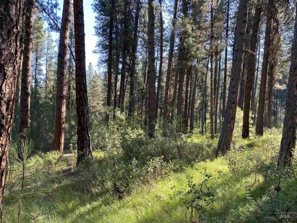 Idaho City, ID 83631,TBD Lot 3 & 7