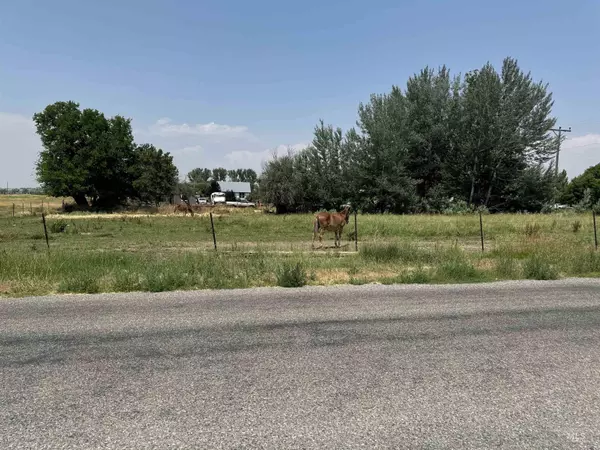 Richfield, ID 83349,Cassia Avenue, Lot #10