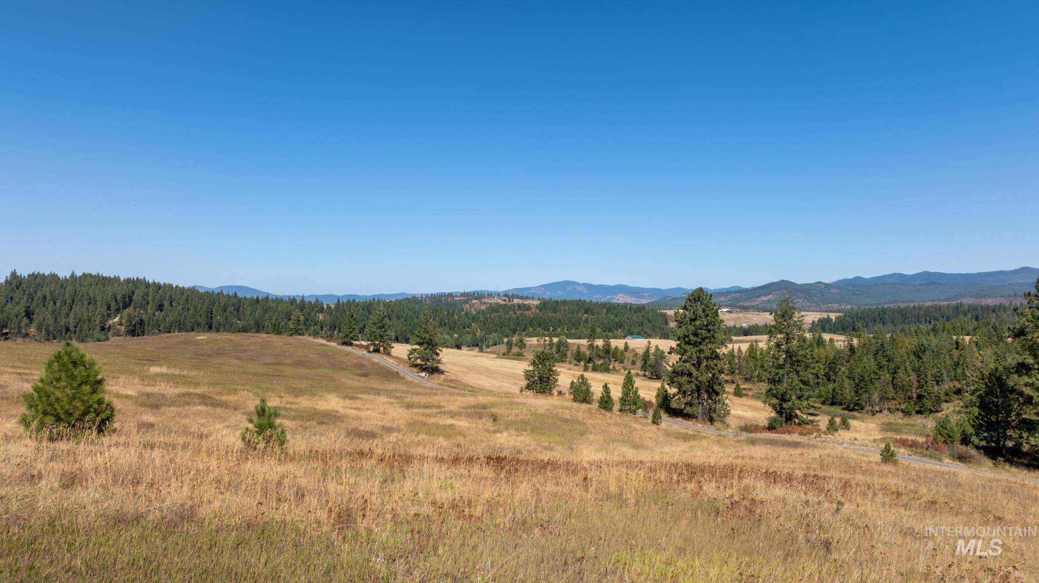 Starview Lane Parcel 3, Princeton, ID 83857