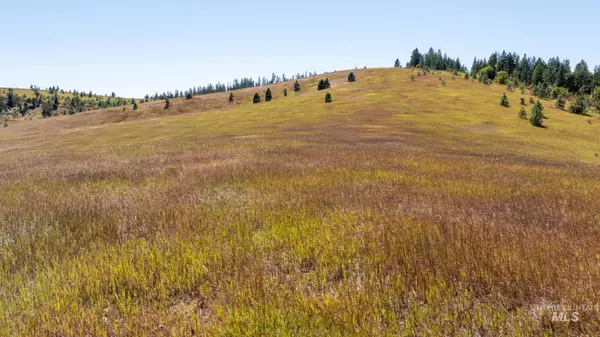 Princeton, ID 83857,Starview Lane Parcel 3