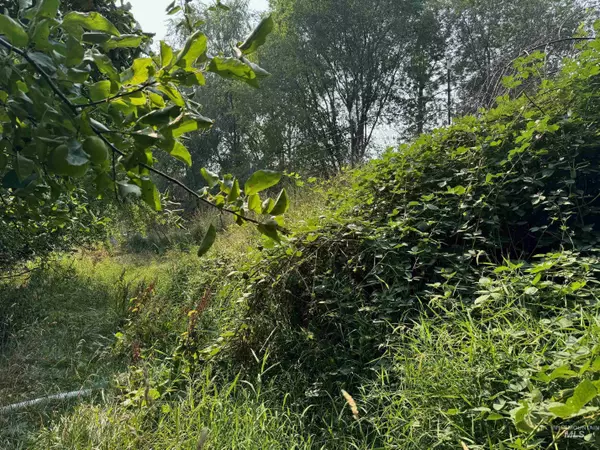 Riggins, ID 83549,136 Heath Drive