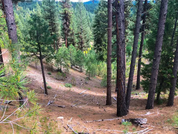 Idaho City, ID 83631,TBD Meadow Creek Drive