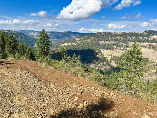 1762 Tranquil Lane, Orofino, ID 83544