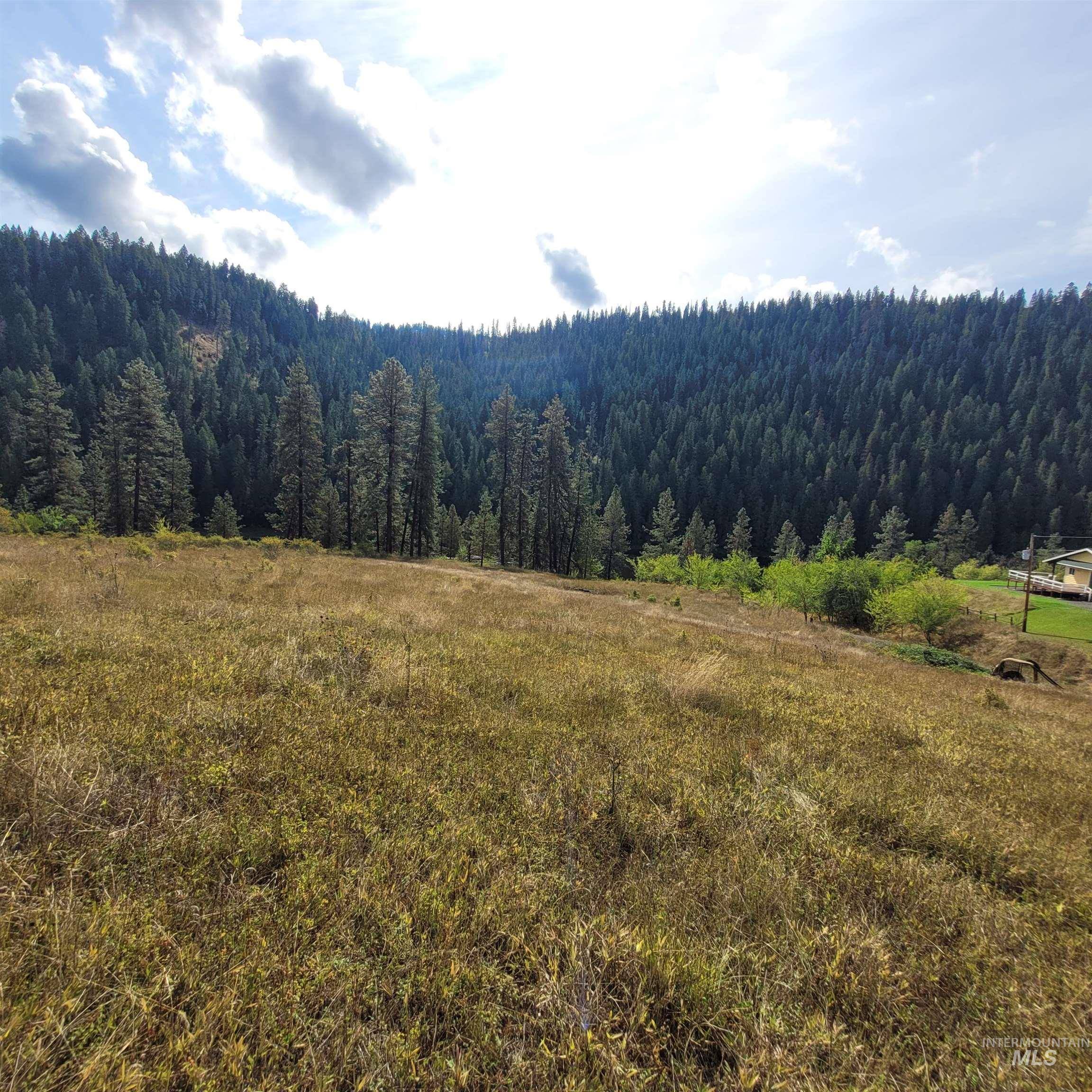 Kooskia, ID 83539,Parcel 4 Hwy 12