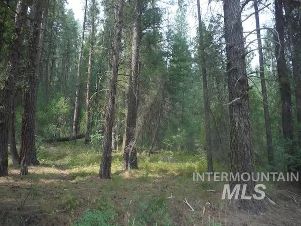 Boise, ID 83716,TBD Beaver Creek Rd Lot 79