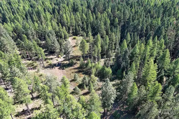 Winchester, ID 83555,24606 Soldiers Meadow Rd