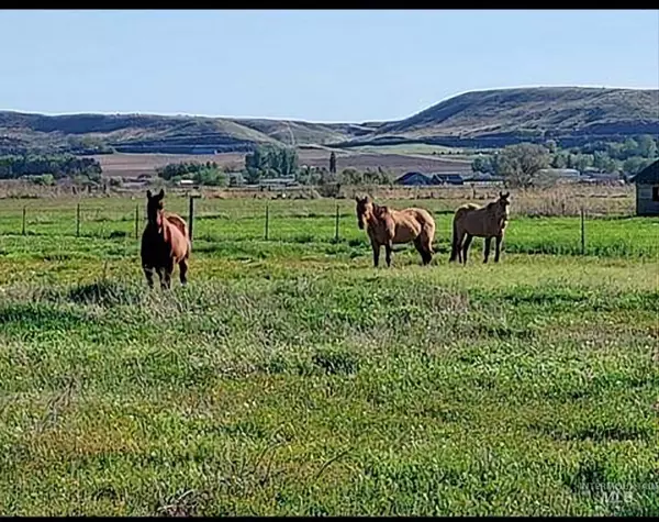 Emmett, ID 83617,9221 Brill Road