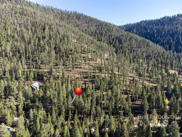 Island Park, ID 83429,4236 Mountain View Dr