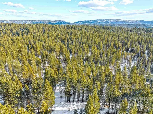 Cascade, ID 83611,14 Silver Cloud Dr