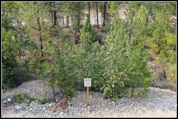 Lot 58 Mores Creek Dr, Idaho City, ID 83631