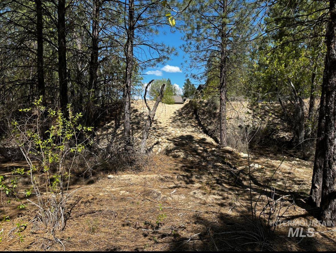 Lot  13 Prospector Ln, Idaho City, ID 83631