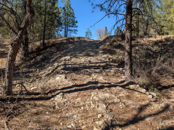 Idaho City, ID 83631,Lot  13 Prospector Ln