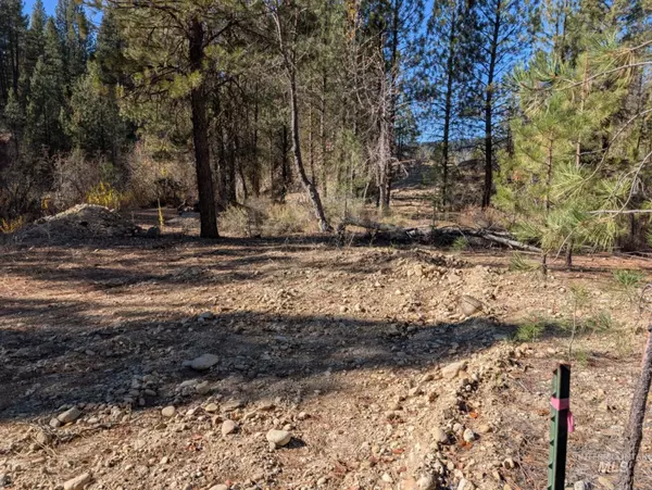 Idaho City, ID 83631,Lot  13 Prospector Ln