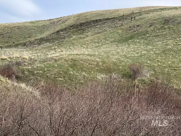 Pollock, ID 83547,TBD Little Salmon Overlook