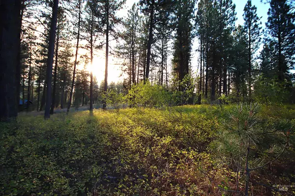 New Meadows, ID 83654,L5B4 Syringa Drive