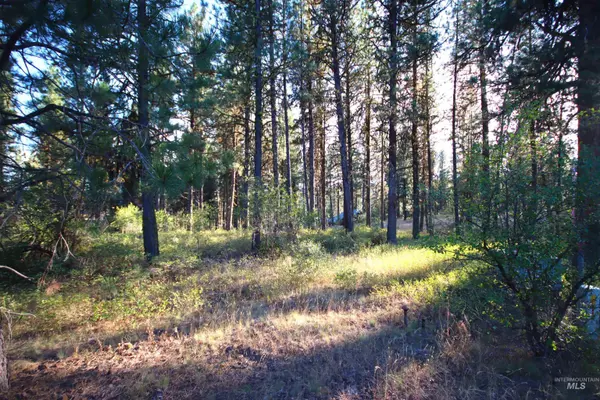 New Meadows, ID 83654,L5B4 Syringa Drive