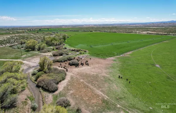 Murphy, ID 83650,18138 Oreana Loop Road