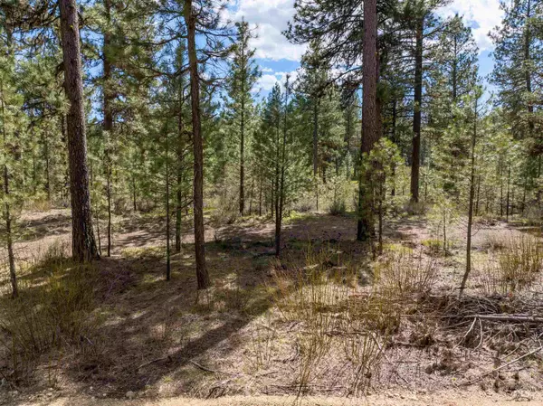Placerville, ID 83631,Lot 3 Star Creek Ct
