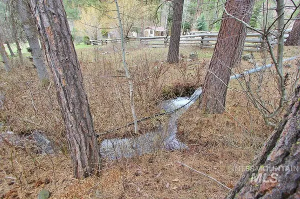 Lowman, ID 83637,28 Lewis Dr