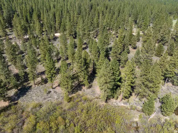Placerville, ID 83666,Lot 4 Star Creek Ct