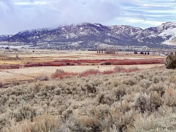 Malta, ID 83342,TBD Elba-Almo Road