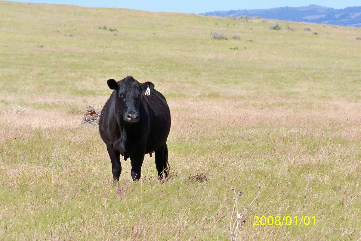 Indian Valley, ID 83632,TBD Indian Valley Road