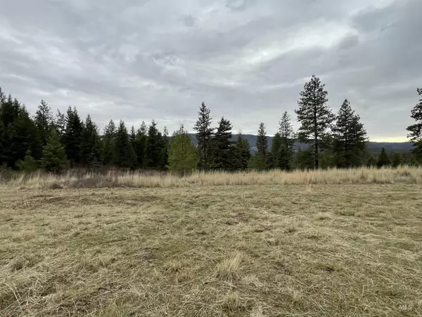 Princeton, ID 83857,NKA E Hatter Creek Road