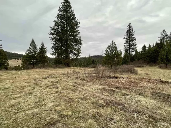 Princeton, ID 83857,NKA E Hatter Creek Road