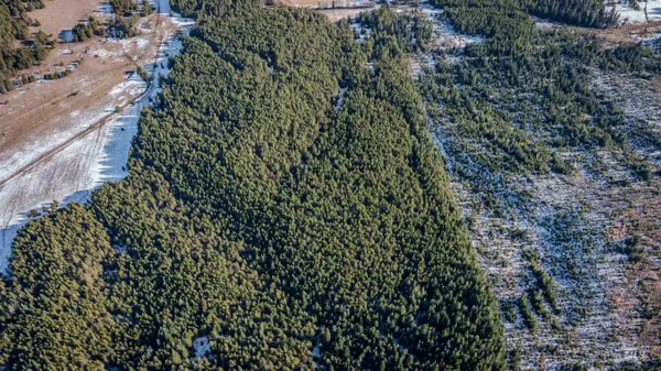 Deary, ID 83823,NKA Moose Creek Rd./Usfs Nfd 381 Rd.