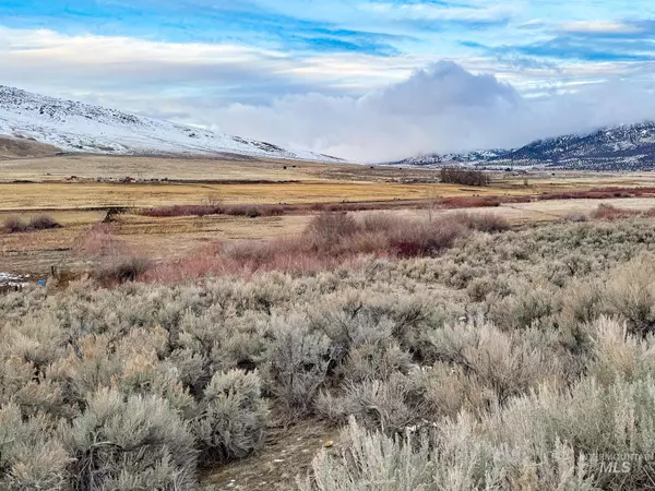 Malta, ID 83342,TBD Elba-Almo Road