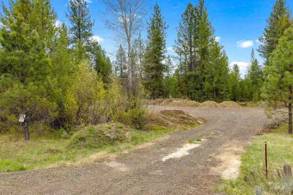 Mccall, ID 83638,114 Fawnlilly Dr